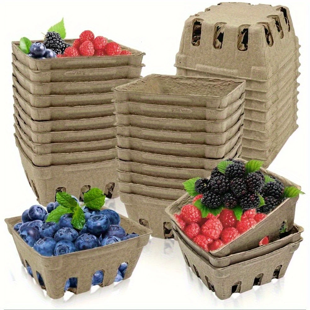 Reusable Berry Baskets