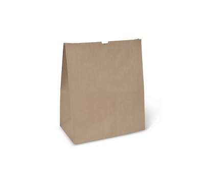 BAGS CHECKOUT 325x280x150MM MEDIUM 250s (DETPAK C085S0010)