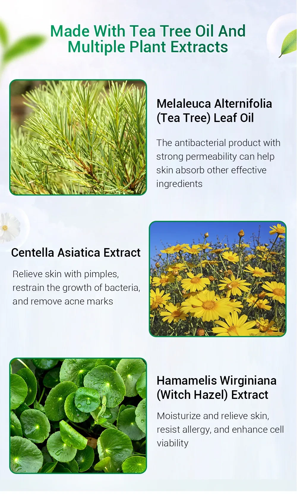 Tea tree acne cream moisturizing acne cream