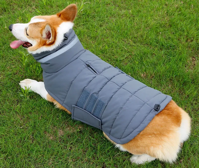 Dog Coats The Warehouse