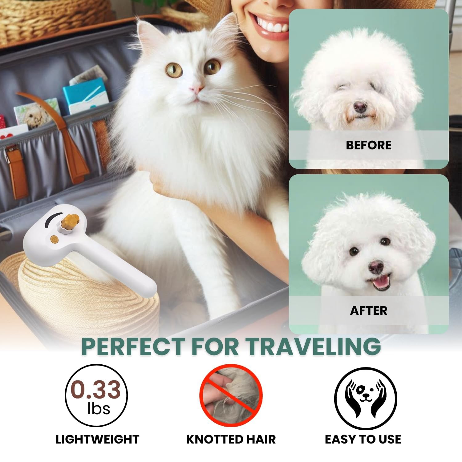 Premium pet brush with steam function