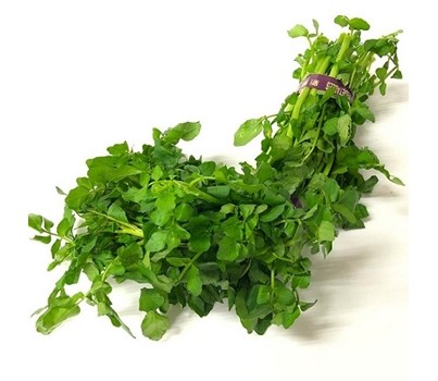 WATERCRESS HYDROPONIC PLANT (EA) - [PRODUCE]