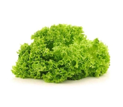LETTUCE LOLLOBIANDI (GREEN FRILL) (EACH) - [PRODUCE]