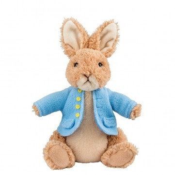 6048964 PETER RABBIT MEDIUM 22CM MIN 2