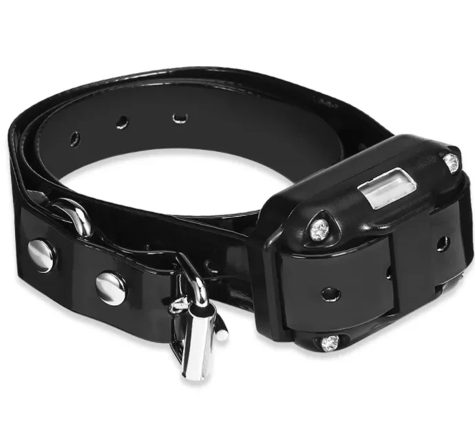 800m Electric Dog Training Collar Anti-barking Device
