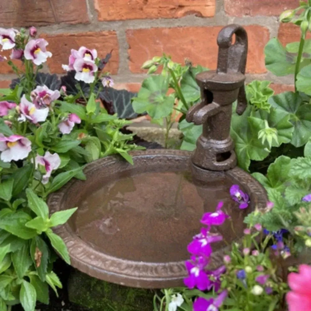 Outdoor Bird Water Feeder
