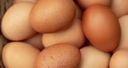 Eggs Grade 6 CTN - Produce