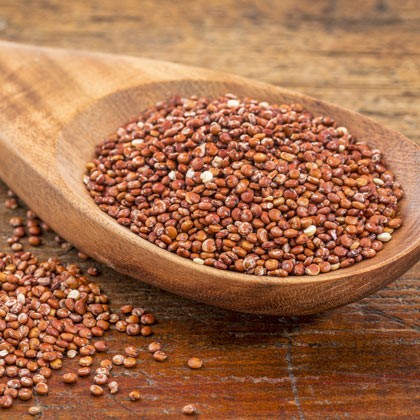 Quinoa Red Organic