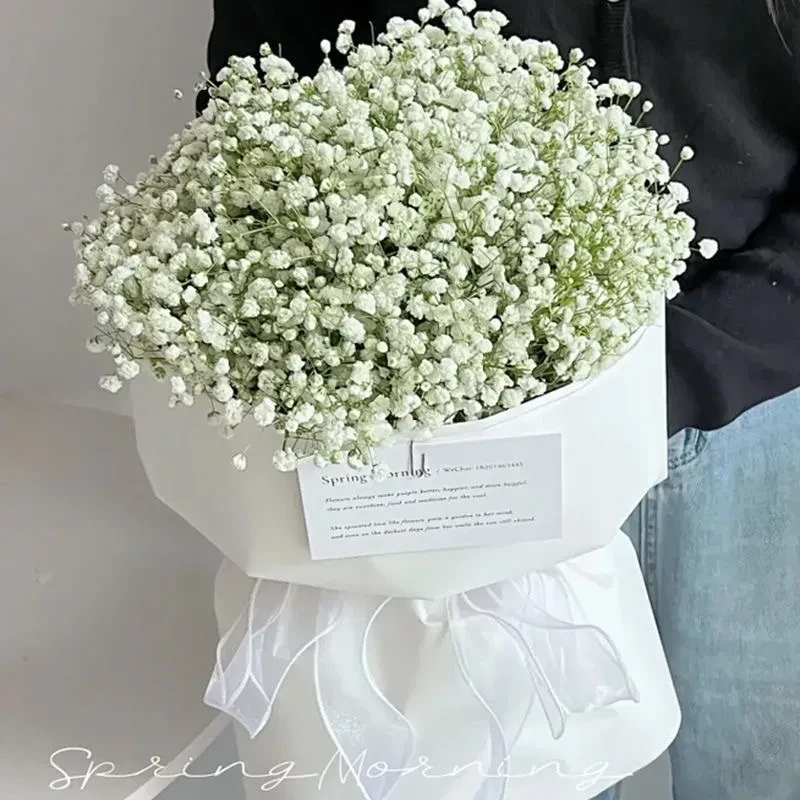 Baby's Breath Bouquet