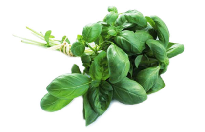 Basil - Produce