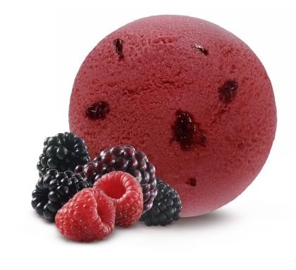 Sorbet Berry Fruit Sorbet