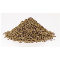 Cumin Seeds Whole