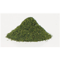 Dill Leaf Tips