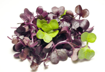 Microgreens Sango
