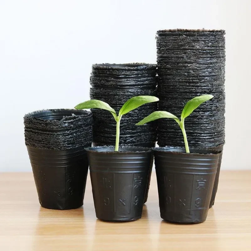 Plastic Plant Pots