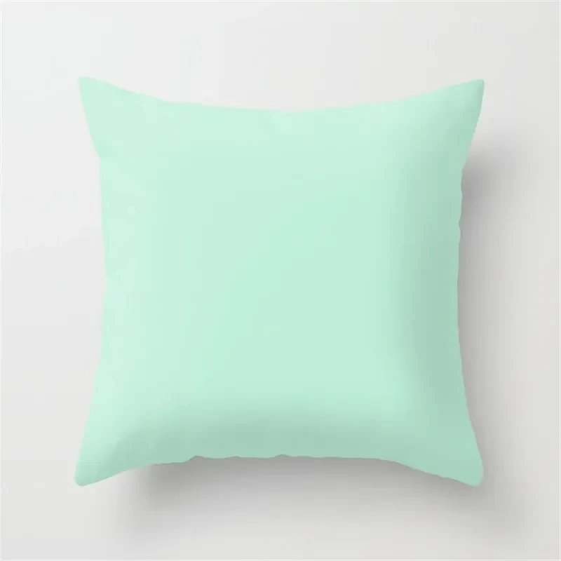 Mint Green Velvet Cushion