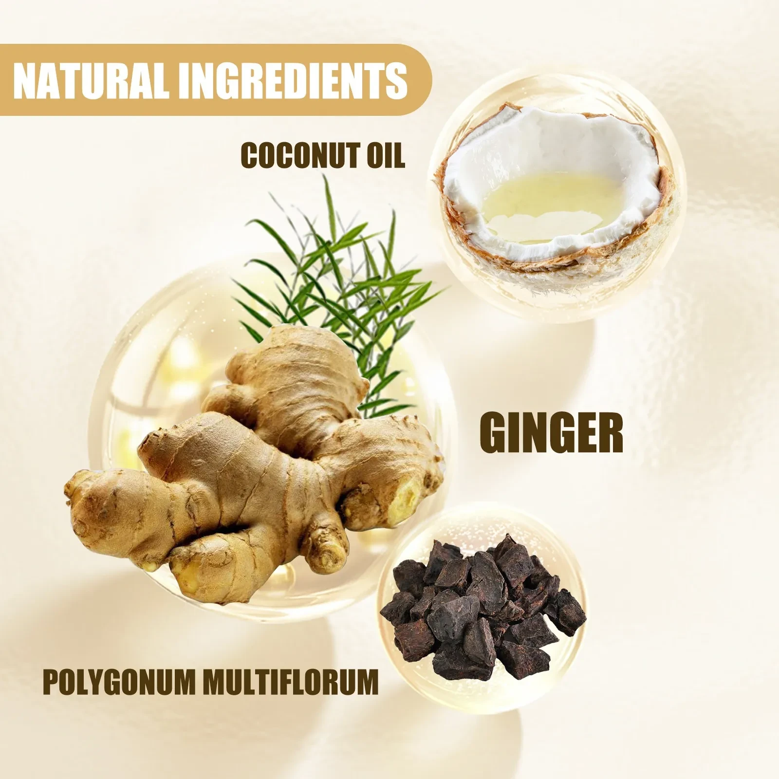 Ginger Shampoo