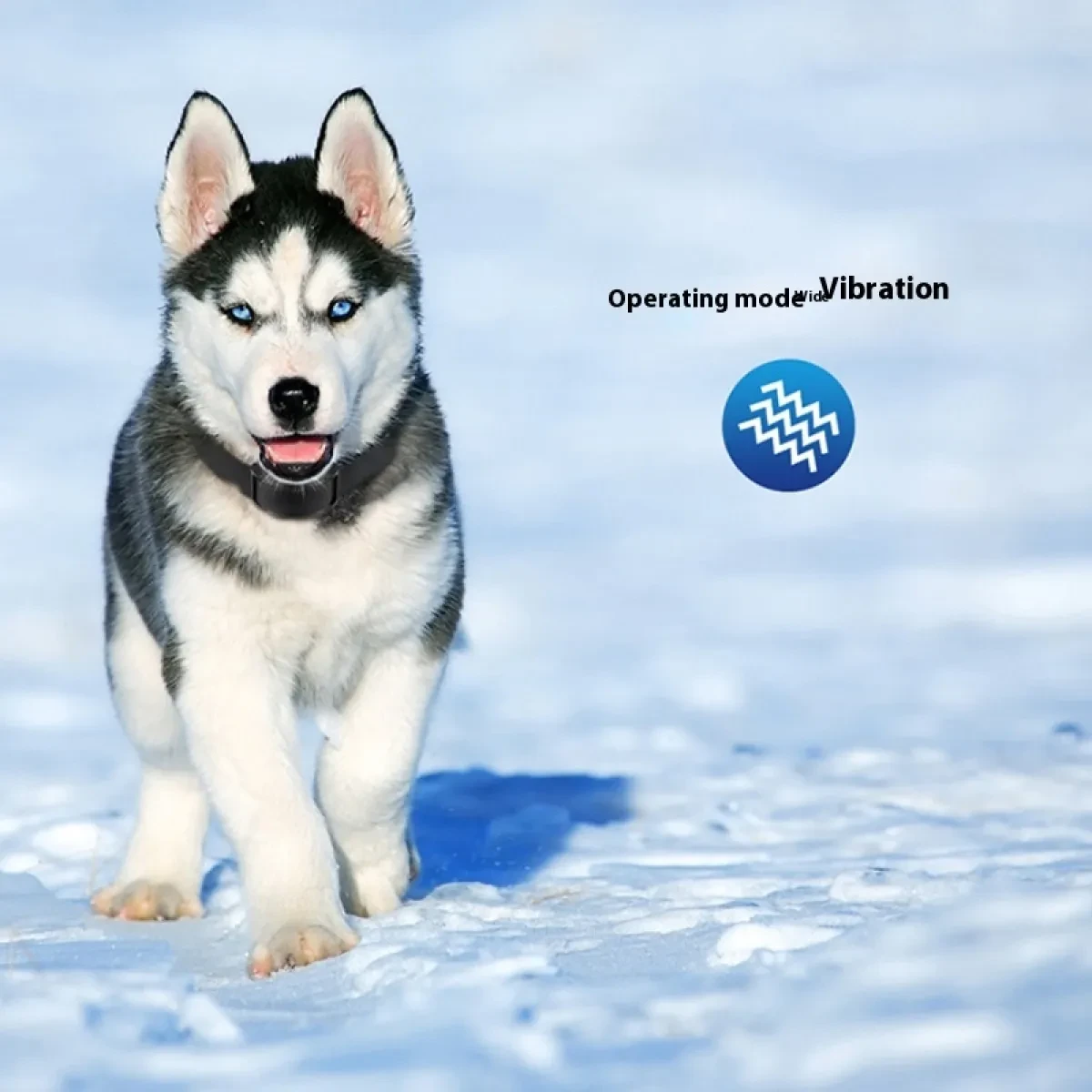 Electric Dog Collars