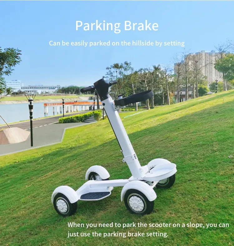 Electric Golf Scooter