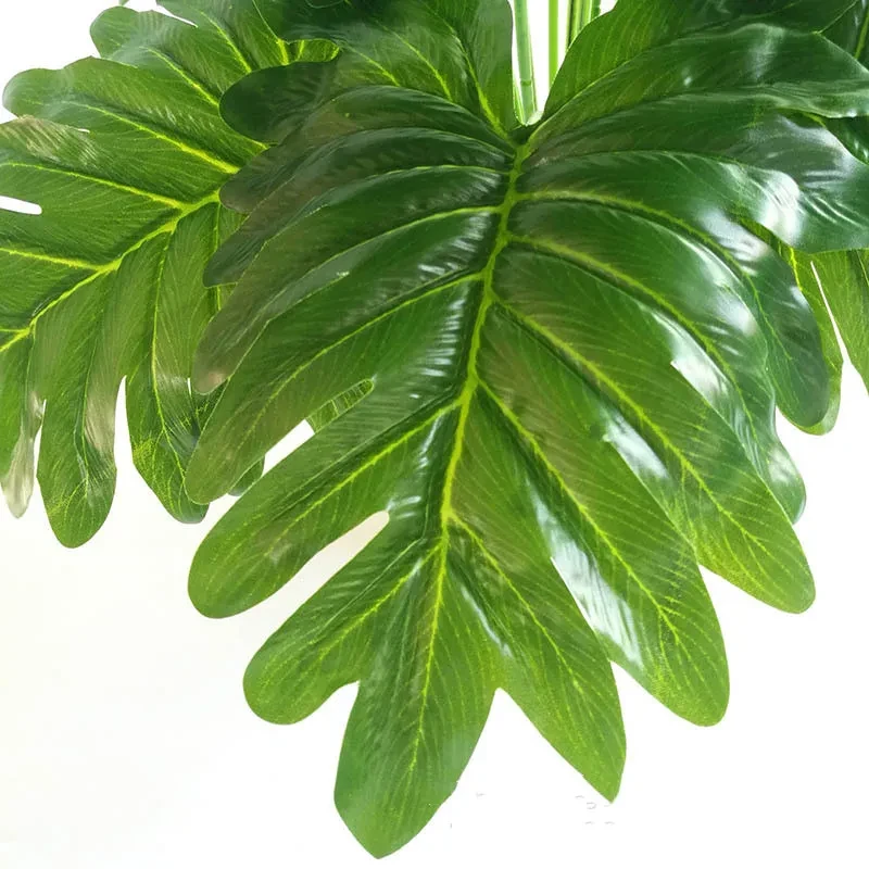 Palm Leaves
