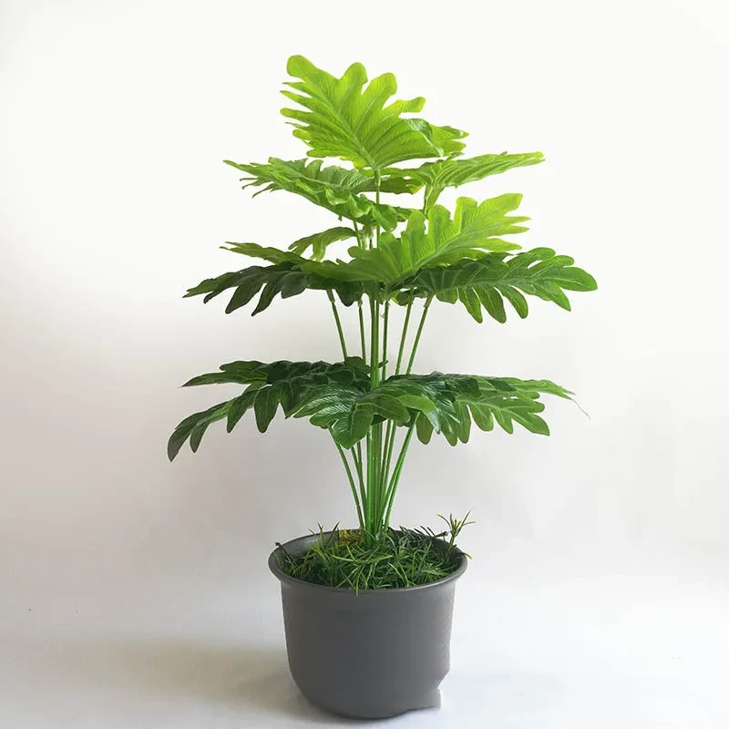 Palm Leaves