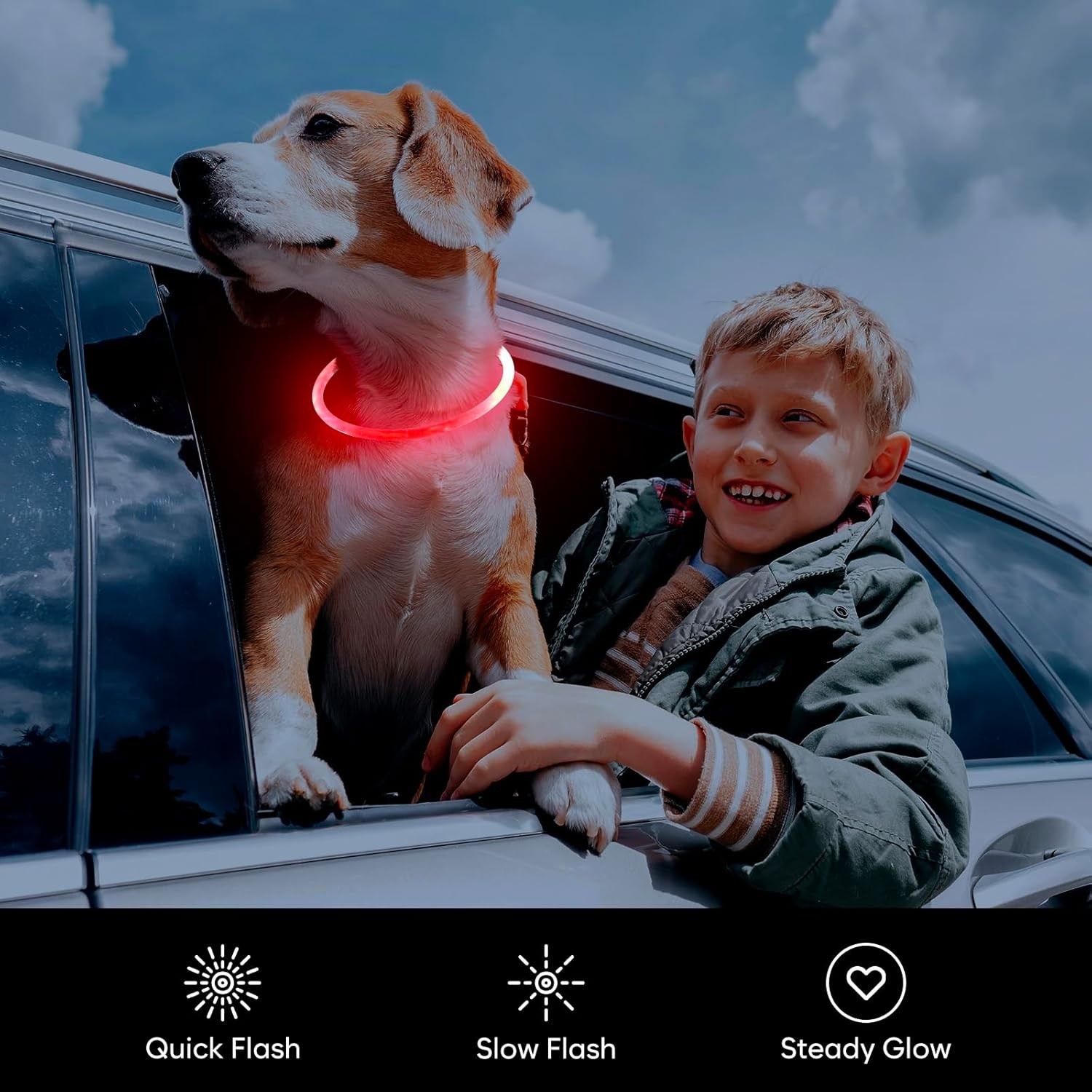 Glowing Dog Collar