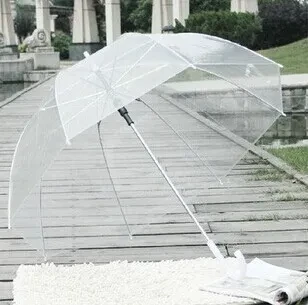 Clear Dome Umbrella