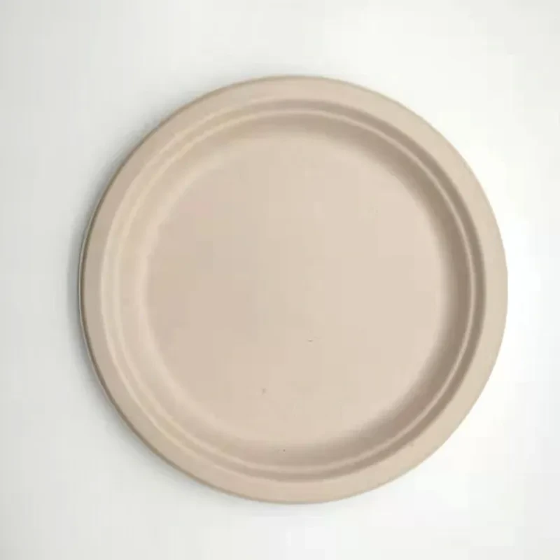 Compartment Disposable Plates