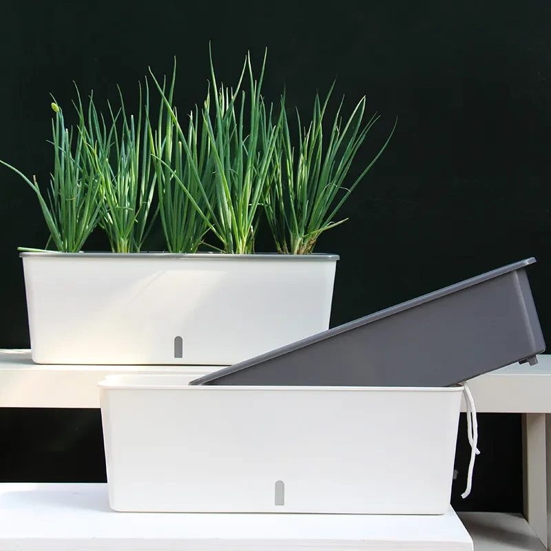 Brass Planter