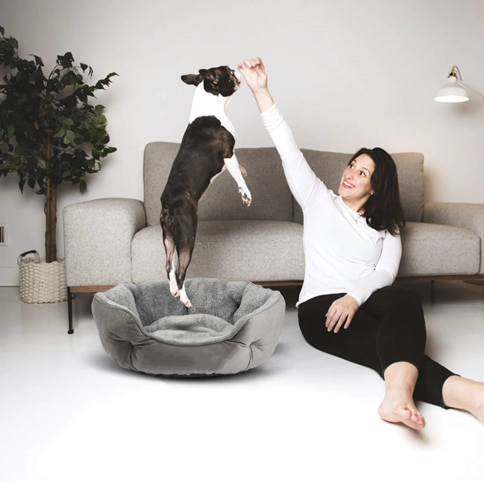 Pet Bed