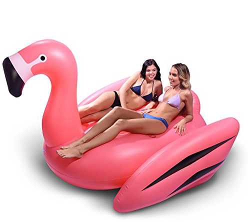 Pop In Flamingo