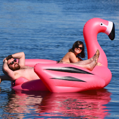 Pop In Flamingo