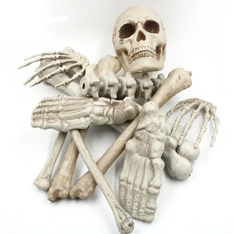 Halloween Skeleton
