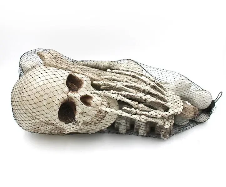Halloween Skeleton