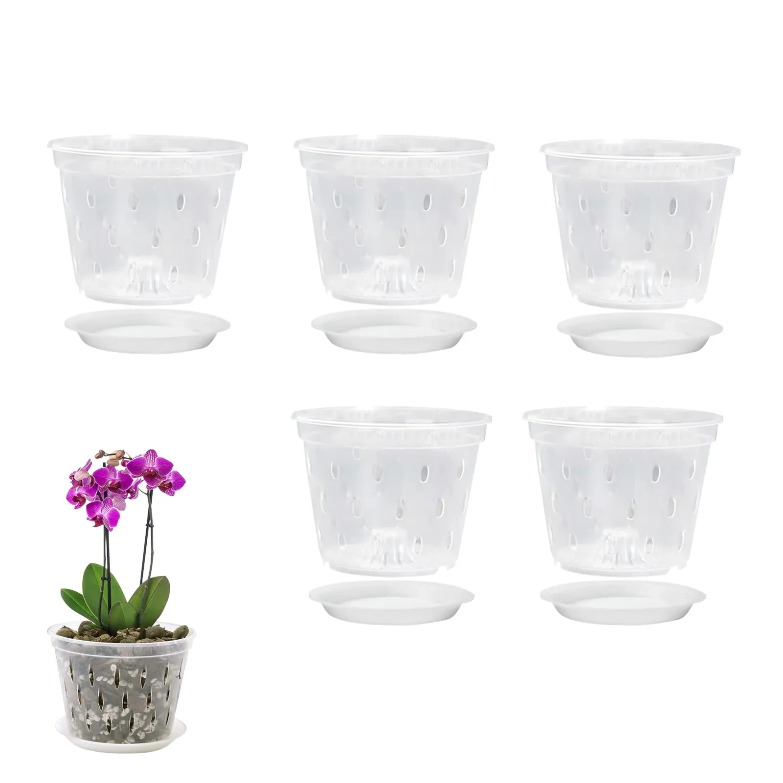 Clear Pots