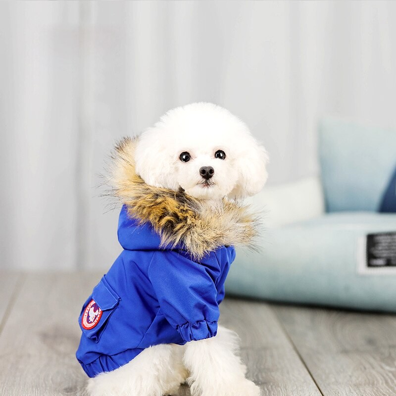 Cotton Dog Clothes