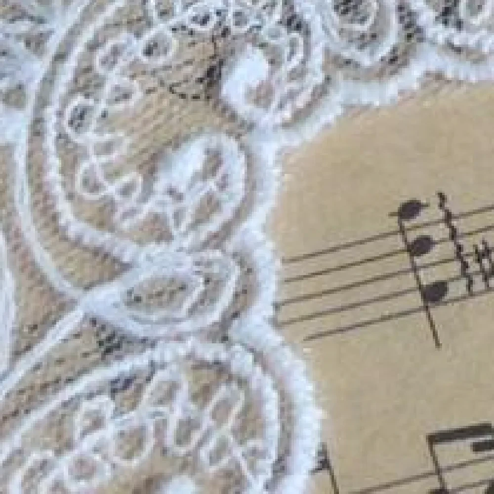 Cotton Lace Fabric