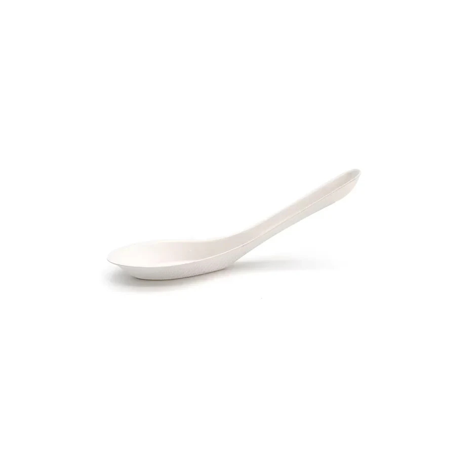 Sugarcane Biodegradable Soup Spoon 100pcs