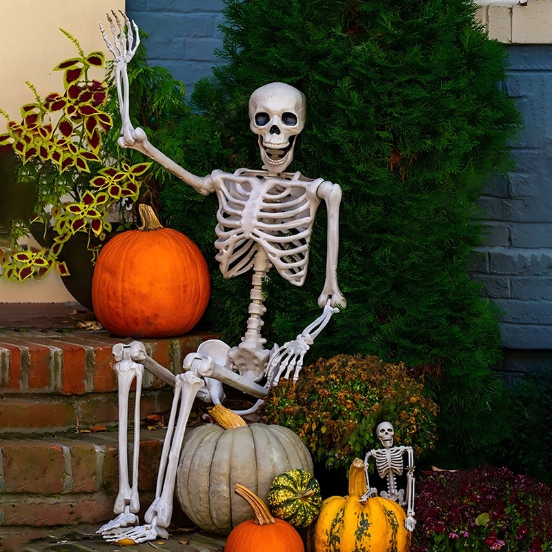 Skeleton Decoration