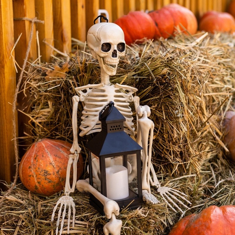 Skeleton Decoration