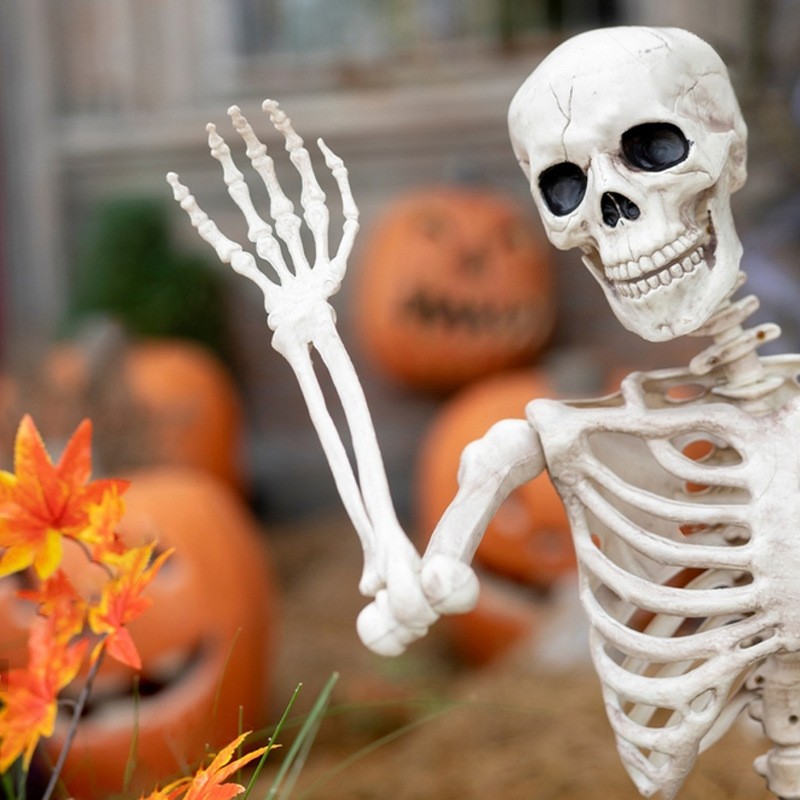 Skeleton Decoration