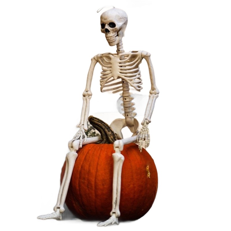 Skeleton Decoration