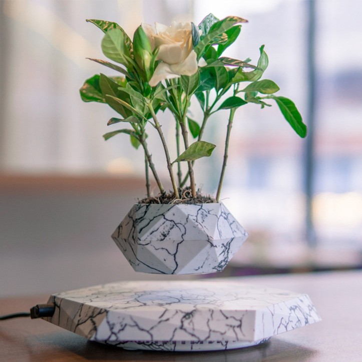 Modern Planter Pots