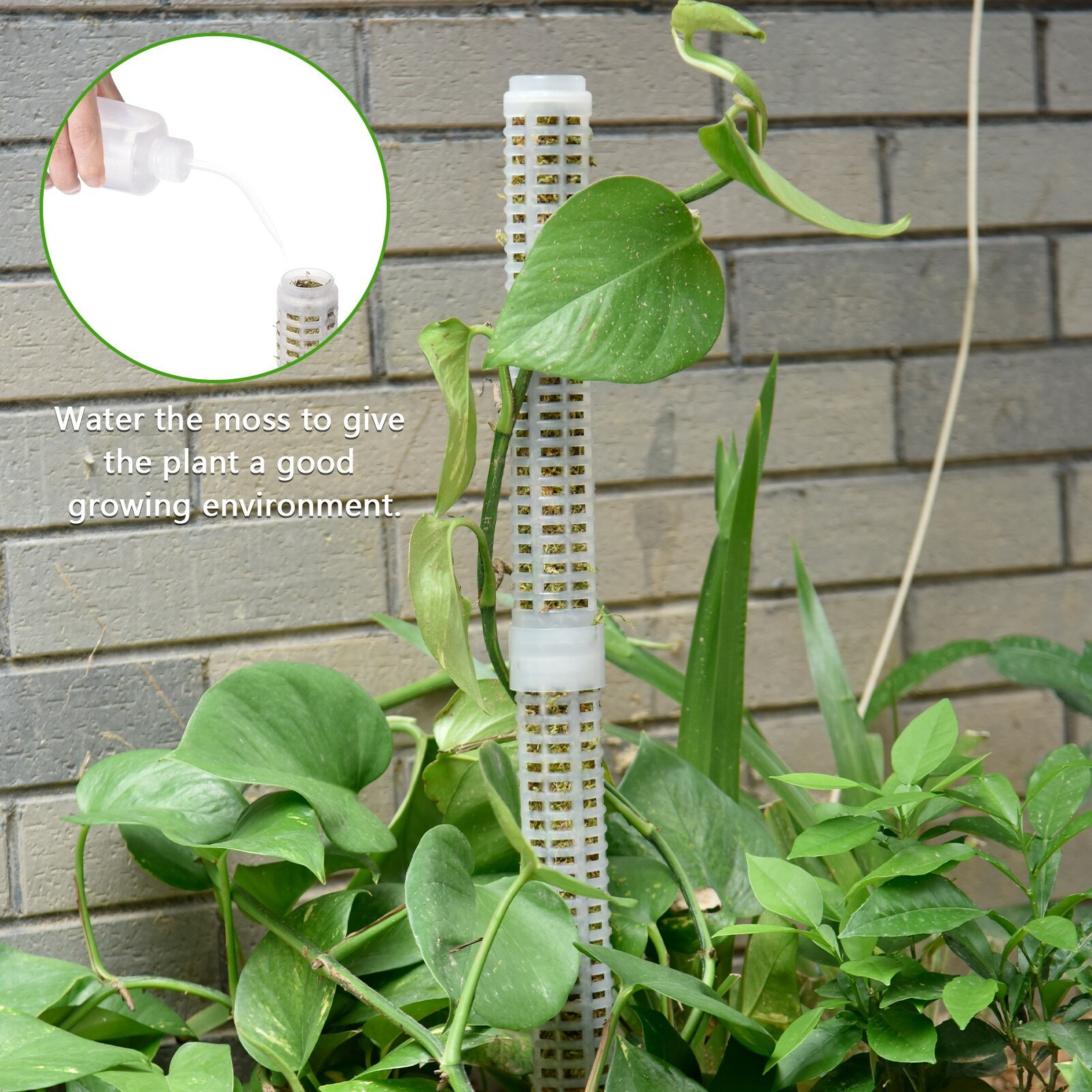 Plastic Plant Stand