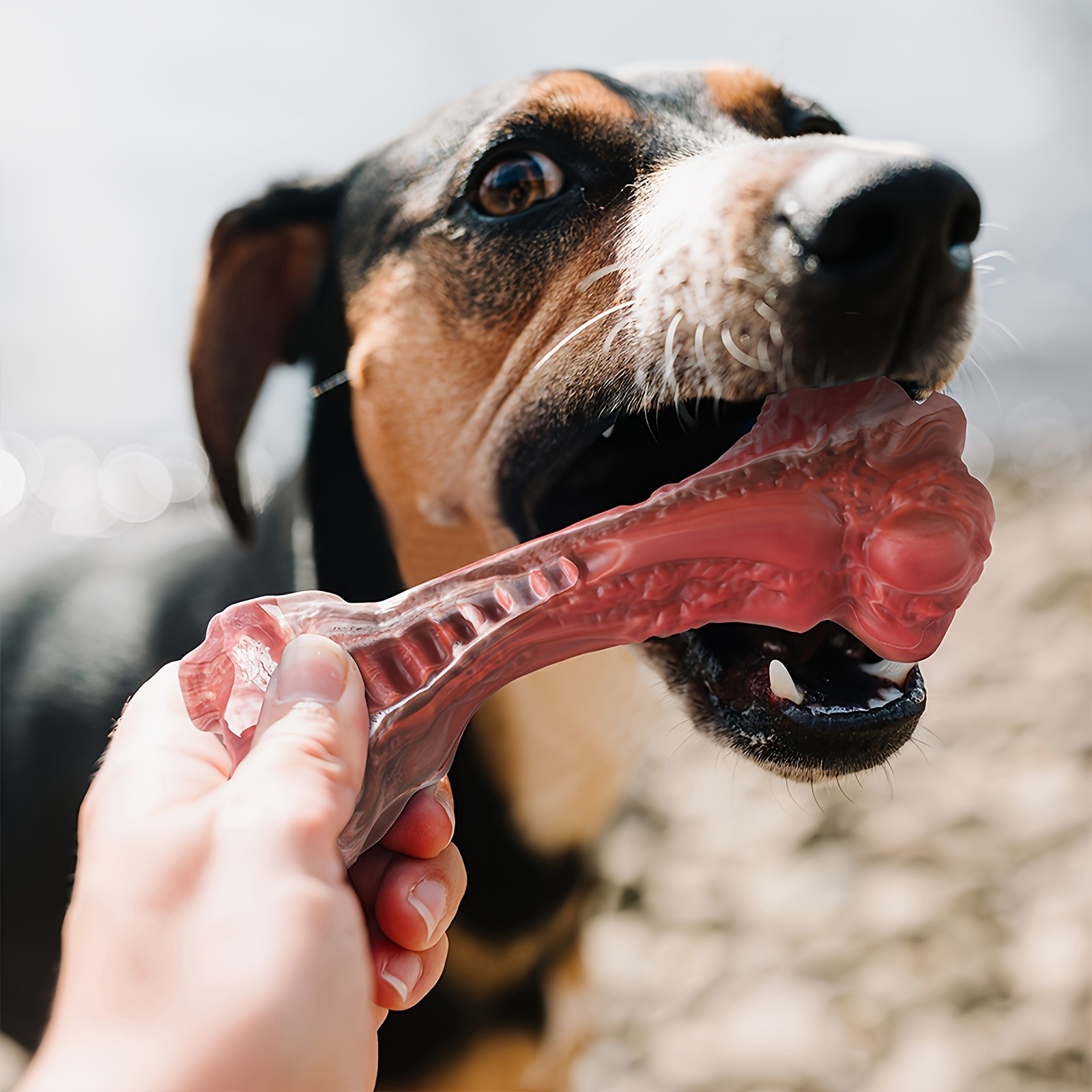 CISILY Dog Chew Toys for Aggressive Chewers
