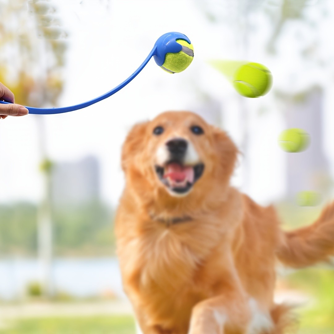 SPORTULI 2pcs Set Pet Ball Throwing Training Rod & Pet Tennis Ball