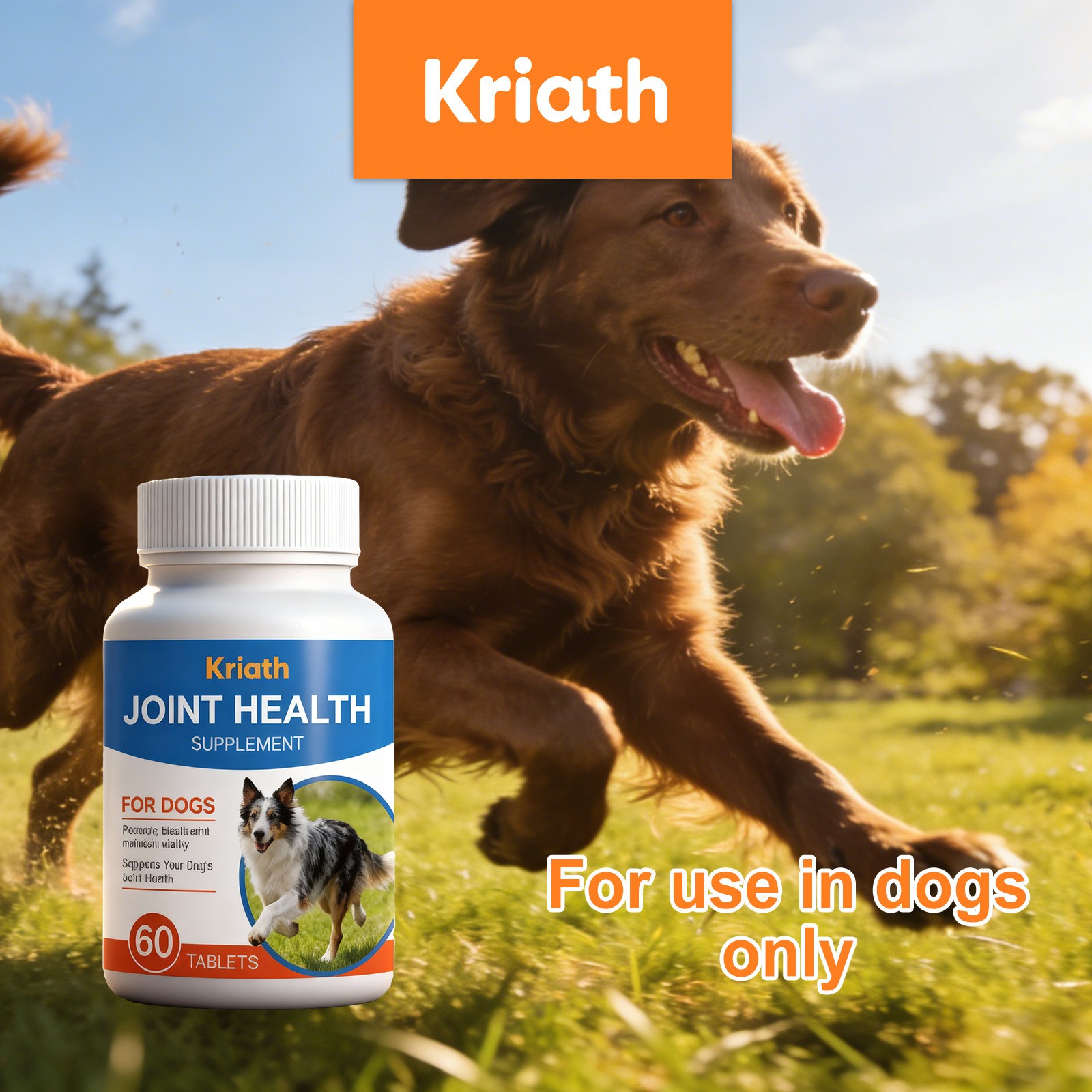 Dog Joint Health Supplement