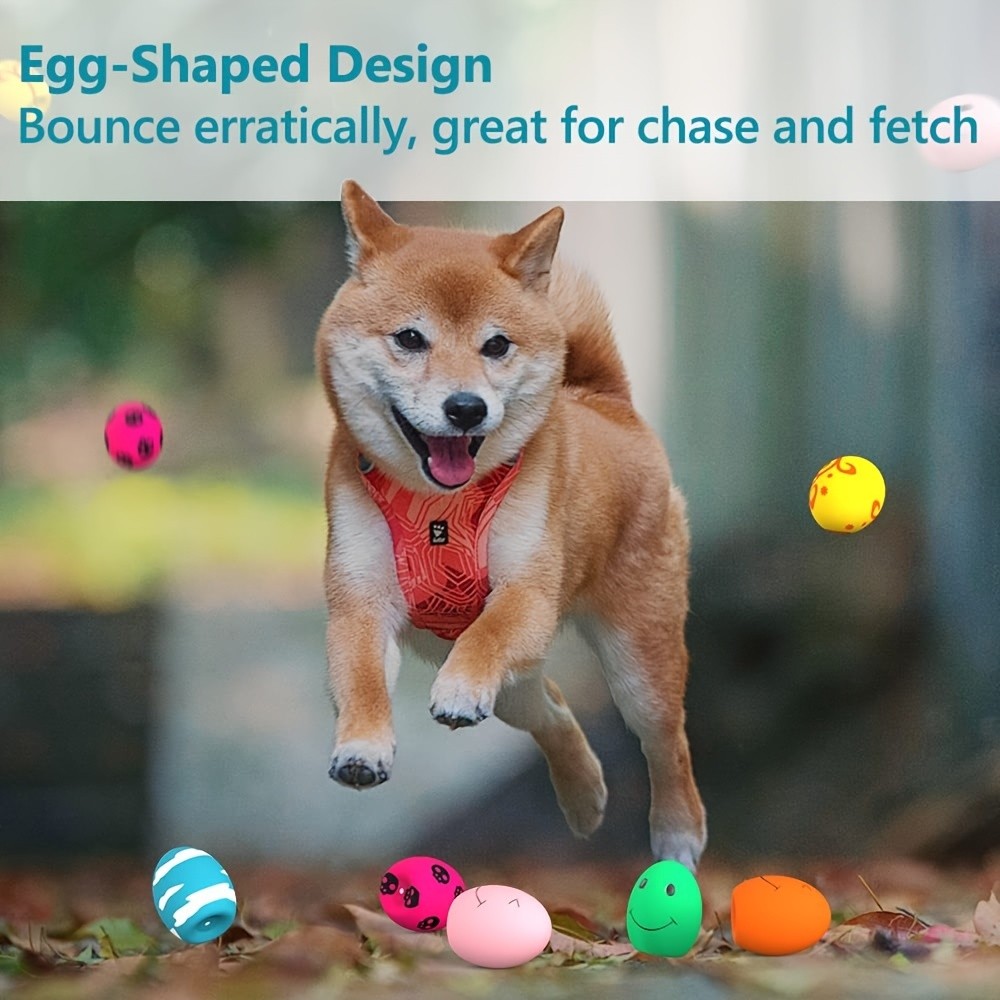 SCHITEC Dog Squeaky Toy Set