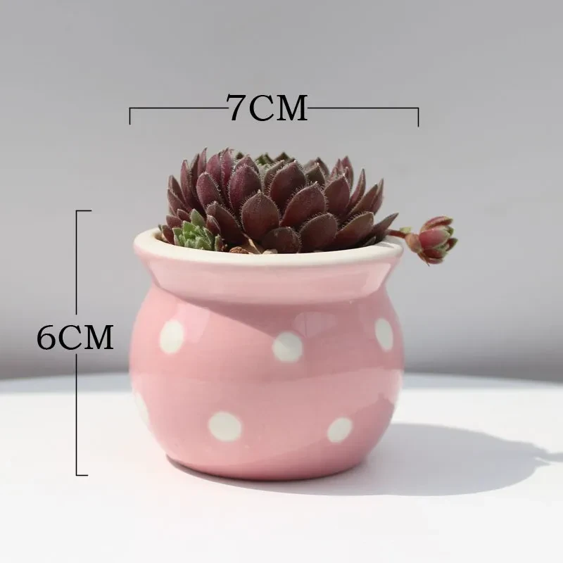 Pink Planter