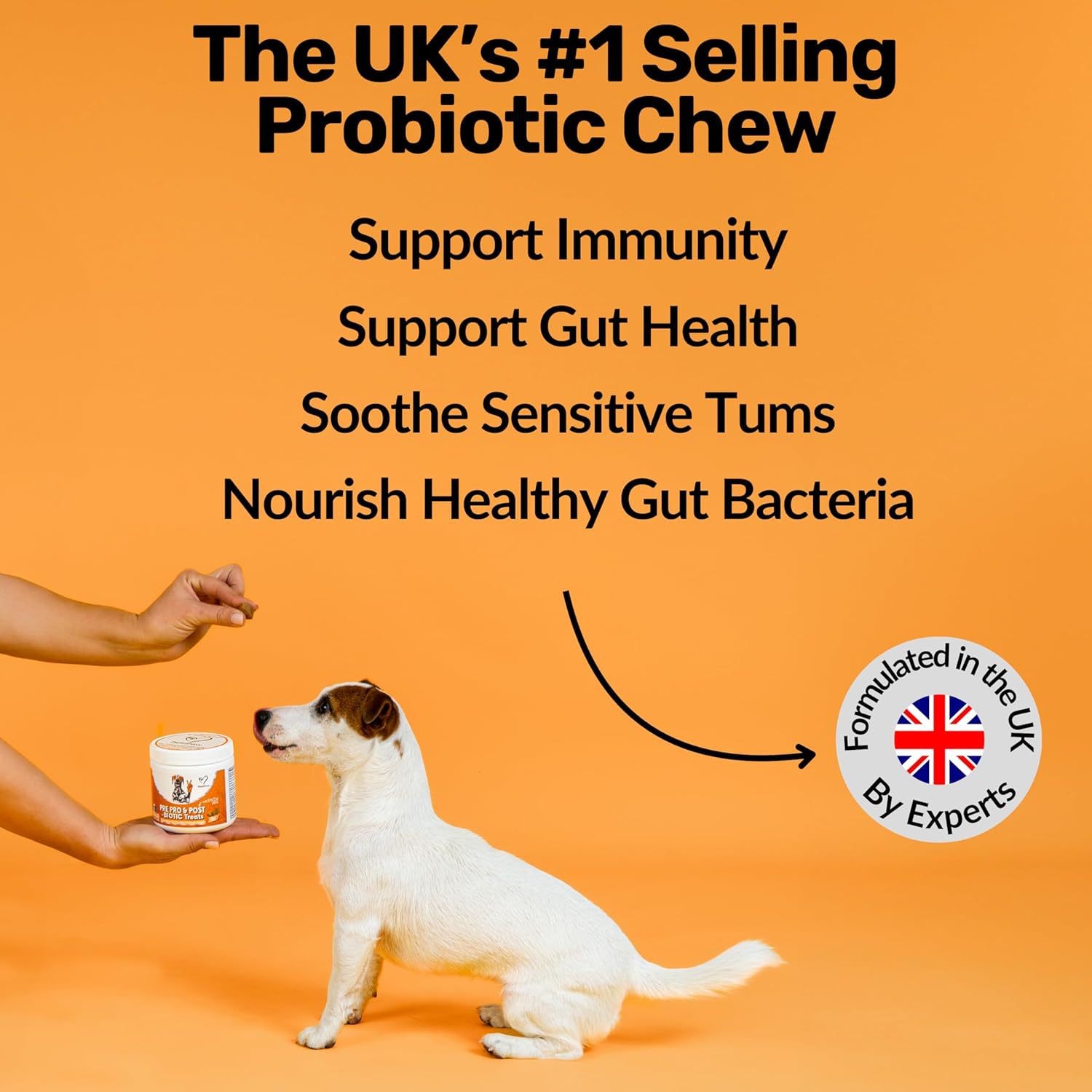 Pre, Pro & Post-Biotic Dog Treats